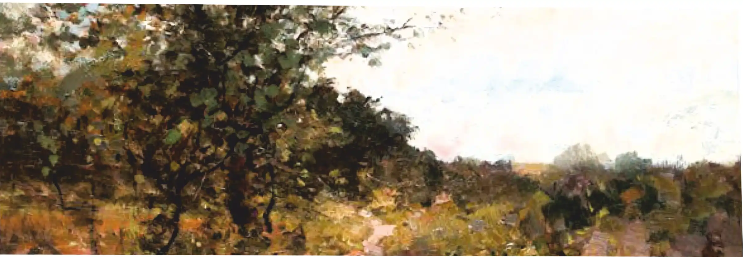 Pictură de peisaj în ulei pe pânză de Călin Bogătean — natură rurală cu coline și lumină caldă